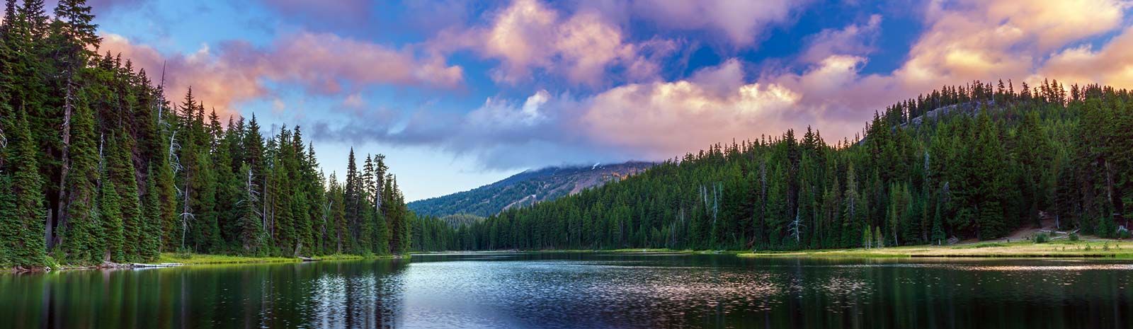 River and evergreen trees against blue sky.